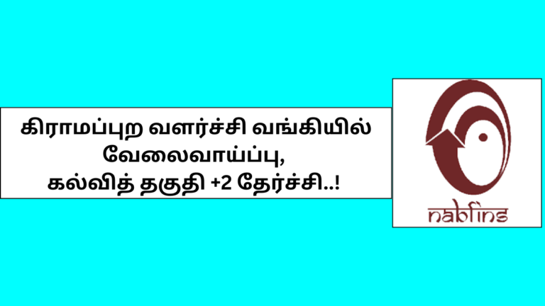 NABFINS CSO Recruitment 2025