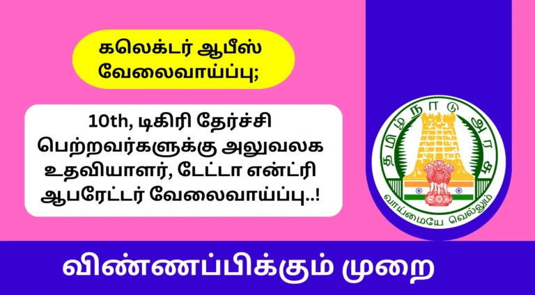 Collector Office Tenkasi Recruitment 2025
