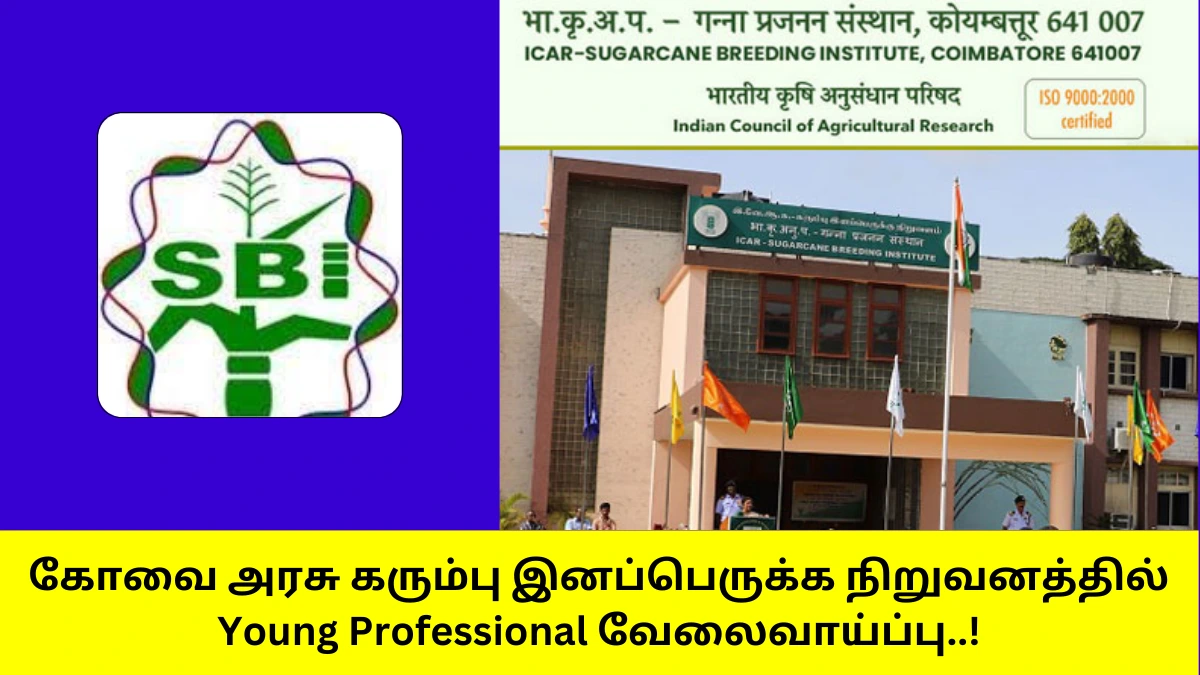 ICAR Sugarcane Breeding Institute Young Professional Recruitment 2025